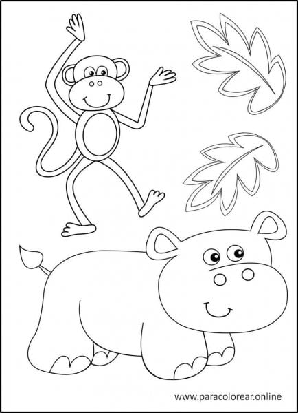 Animales-de-la-selva-para-colorear-13