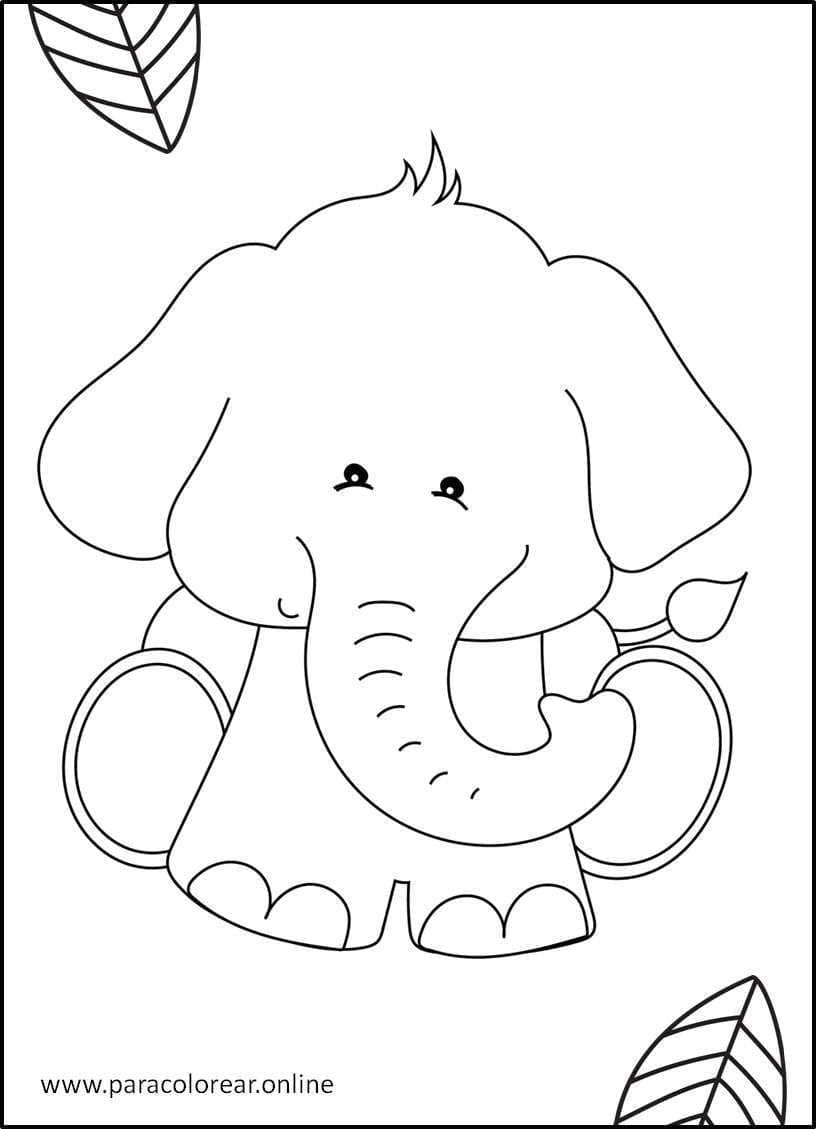 Dibujos De Animales de la selva para Colorear Imprimir y