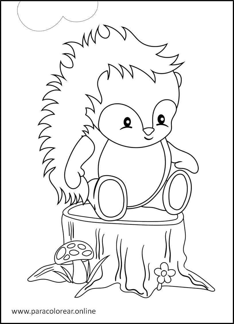 Dibujos De Animales del Bosque para Colorear Imprimir y Pintar 🐻🐿️