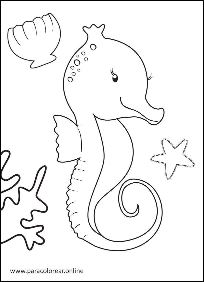 Dibujos De Animales Acuáticos para Colorear Imprimir y Pintar 🐬🐢🐳