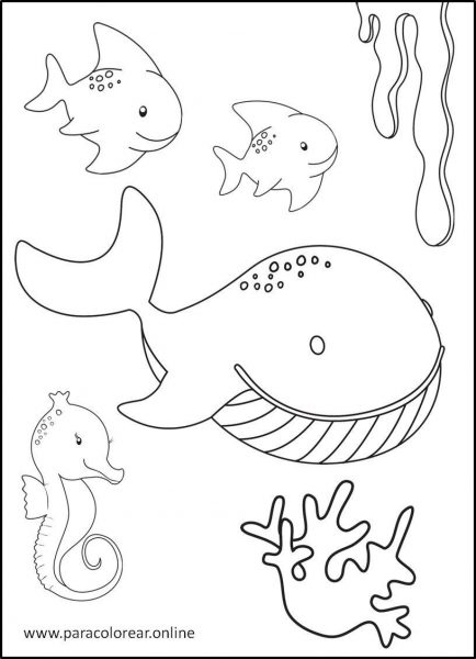 Animales-marinos-para-colorear-4