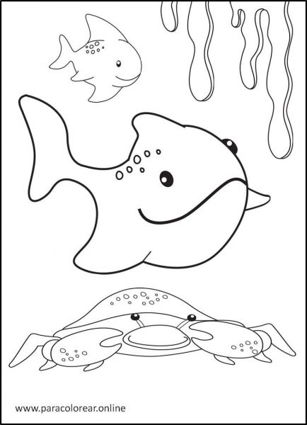 Animales-marinos-para-colorear-8