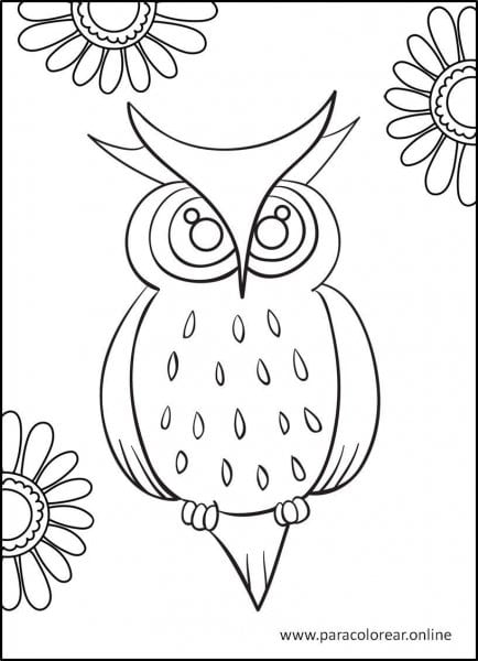 Buhos-para-colorear-1