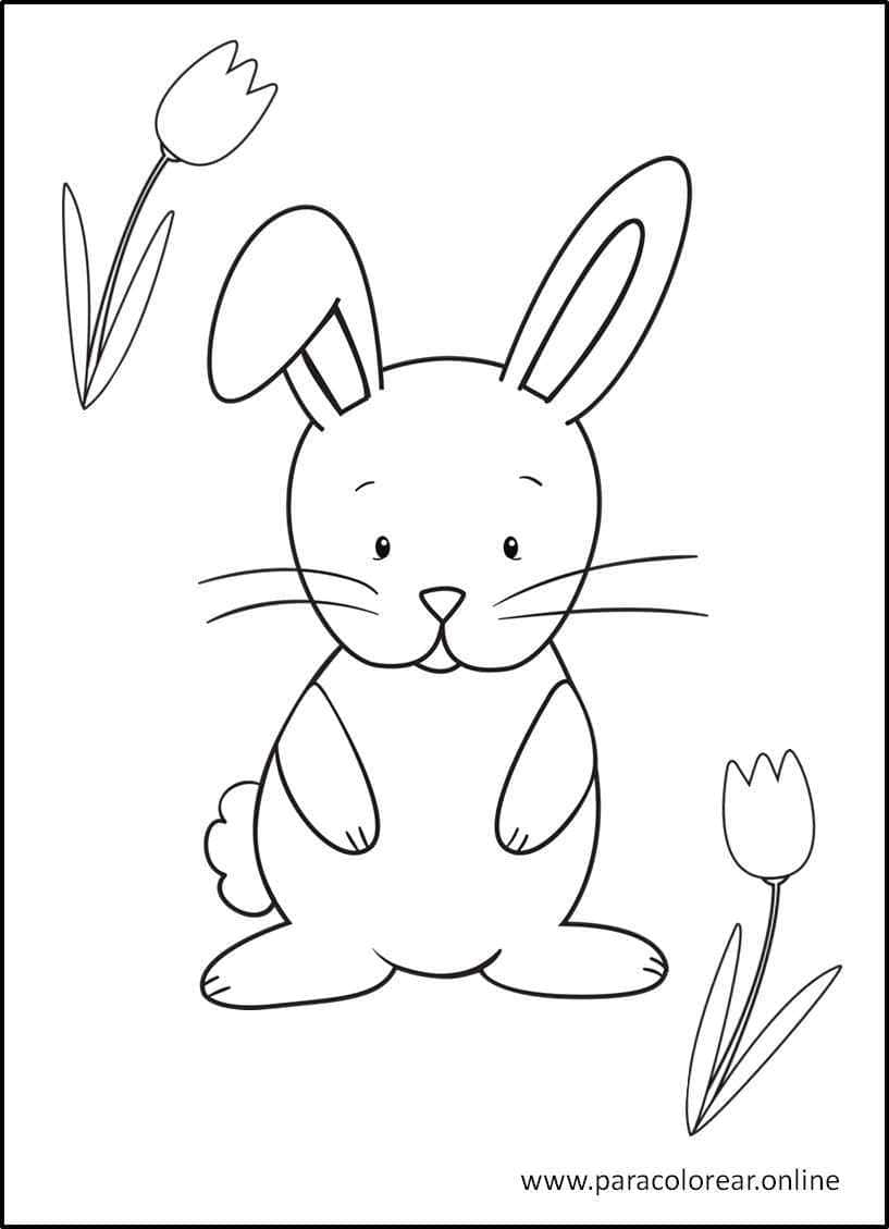 Los mejores Dibujos de Conejos para Colorear Imprimir y Pintar