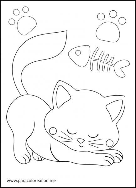 Gatos-para-colorear-10