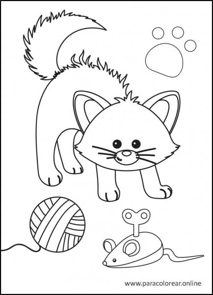 Gatos-para-colorear-11