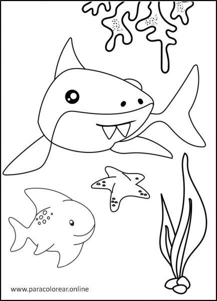 Tiburones-para-Colorear-4