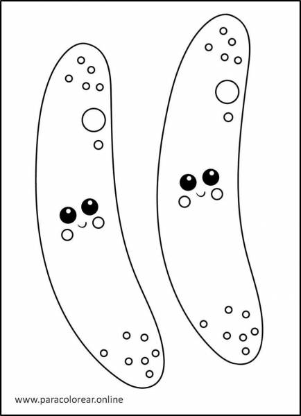 Verduras-para-colorear-10