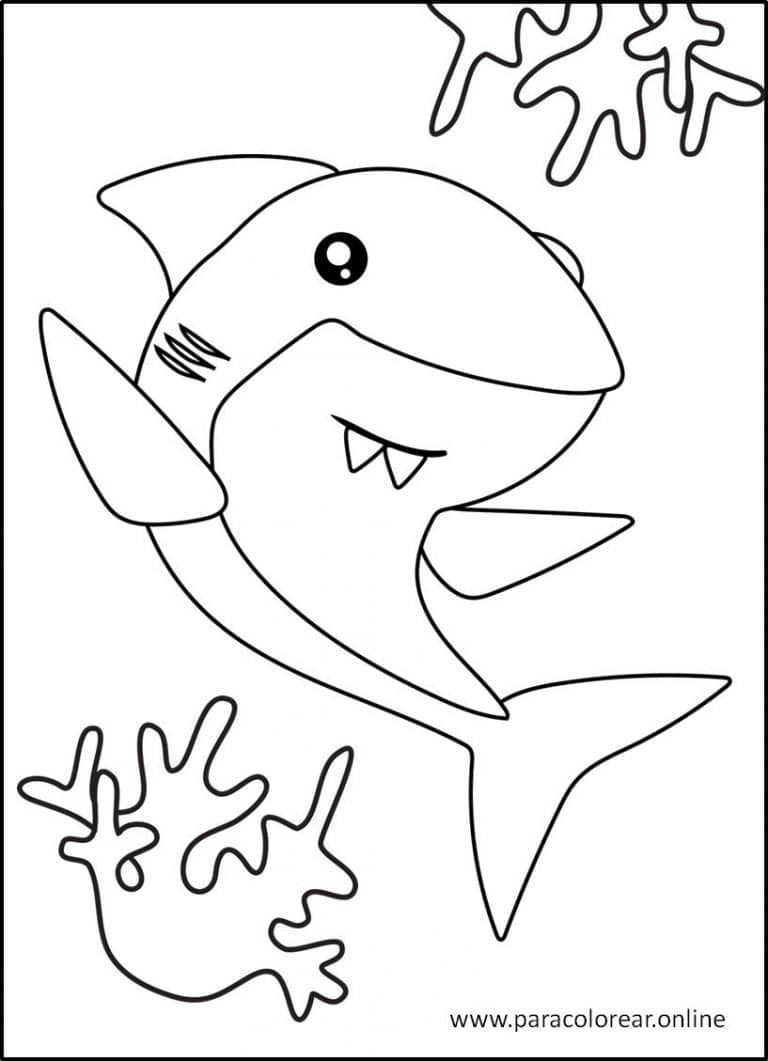 Tiburones para pintar y colorear